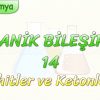 ORGANİK BİLEŞİKLER – 14 /  ALDEHİTLER VE KETONLAR – 1