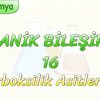 ORGANİK BİLEŞİKLER – 16 / KARBOKSİLİK ASİTLER – 1