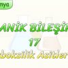 ORGANİK BİLEŞİKLER – 17 / KARBOKSİLİK ASİTLER – 2