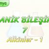 ORGANİK BİLEŞİKLER – 7 / ALKİNLER – 1