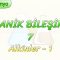 ORGANİK BİLEŞİKLER – 7 / ALKİNLER – 1