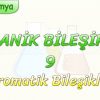 ORGANİK BİLEŞİKLER – 9 / AROMATİK BİLEŞİKLER