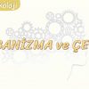 ORGANİZMA VE ÇEVRE
