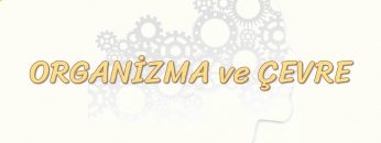 ORGANİZMA VE ÇEVRE