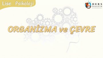 ORGANİZMA VE ÇEVRE