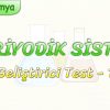 PERİYODİK SİSTEM / GELİŞTİRİCİ TEST – 1