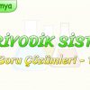 PERİYODİK SİSTEM / SORU ÇÖZÜMLERİ – 1