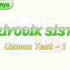PERİYODİK SİSTEM – UZMAN TEST – 1