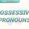 POSSESSIVE PRONOUNS