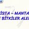 PROTİSTA, MANTARLAR VE BİTKİLER ALEMİ
