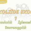 PSİKOLOJİDE EKOLLER – 1 / YAPISALCILIK – İŞLEVSELCİLİK – DAVRANIŞÇILIK