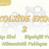 PSİKOLOJİDE EKOLLER -2 / GESTALTÇI EKOL – BİYOLOJİK YAKLAŞIM – HÜMANİSTİK YAKLAŞIM