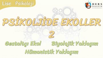 PSİKOLOJİDE EKOLLER -2 / GESTALTÇI EKOL – BİYOLOJİK YAKLAŞIM – HÜMANİSTİK YAKLAŞIM