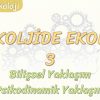 PSİKOLOJİDE EKOLLER – 3 / BİLİŞSEL YAKLAŞIM – PSİKODİNAMİK YAKLAŞIM