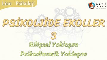 PSİKOLOJİDE EKOLLER – 3 / BİLİŞSEL YAKLAŞIM – PSİKODİNAMİK YAKLAŞIM