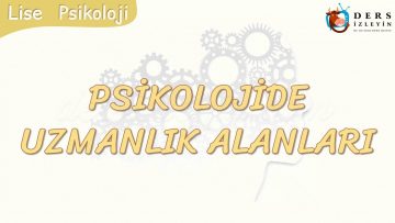PSİKOLOJİDE UZMANLIK ALANLARI