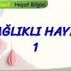 SAĞLIKLI HAYAT – 1