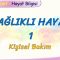 SAĞLIKLI HAYAT – 1 / KİŞİSEL BAKIM