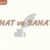 SANAT VE SANATÇI