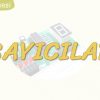 SAYICILAR