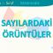 SAYILARDAKİ ÖRÜNTÜLER
