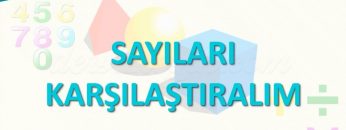 SAYILARI KARŞILAŞTIRALIM