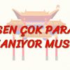 SEN ÇOK PARA KAZANIYOR MUSUN? (ÇİNCE) 45. DERS