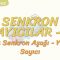 SENKRON SAYICILAR- 6 / 3 BİT SENKRON AŞAĞI – YUKARI SAYICI