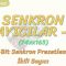 SENKRON SAYICILAR – 8 / 74×163 ENTEGRE DEVRE SAYICI