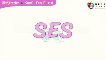 SES