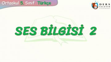 SES BİLGİSİ – 2