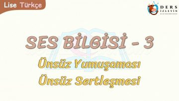 SES BİLGİSİ – 3 / ÜNSÜZ YUMUŞAMASI – ÜNSÜZ SERTLEŞMESİ