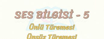 SES BİLGİSİ – 5 / ÜNLÜ TÜREMESİ – ÜNSÜZ TÜREMESİ