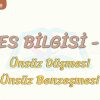 SES BİLGİSİ – 6 / ÜNSÜZ DÜŞMESİ – ÜNSÜZ BENZEŞMESİ