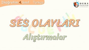 SES OLAYLARI – ALIŞTIRMALAR
