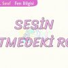 SESİN İŞİTMEDEKİ ROLÜ
