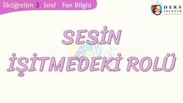 SESİN İŞİTMEDEKİ ROLÜ