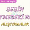 SESİN İŞİTMEDEKİ ROLÜ-ALIŞTIRMALAR
