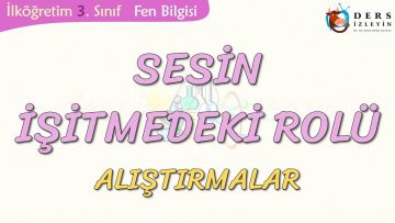 SESİN İŞİTMEDEKİ ROLÜ-ALIŞTIRMALAR