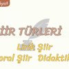ŞİİR TÜRLERİ – 2 / LİRİK ŞİİR – PASTORAL ŞİİR – DİDAKTİK ŞİİR