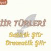 ŞİİR TÜRLERİ – 3 / SATİRİK ŞİİR – DRAMATİK ŞİİR