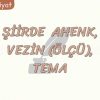 ŞİİRDE AHENK, VEZİN VE TEMA
