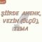 ŞİİRDE AHENK, VEZİN VE TEMA