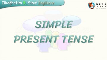 SIMPLE PRESENT TENSE