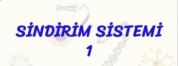 SİNDİRİM SİSTEMİ – 1