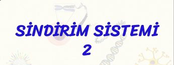 SİNDİRİM SİSTEMİ – 2