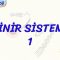 SİNİR SİSTEMİ – 1