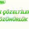 SIVI ÇÖZELTİLER VE ÇÖZÜNÜRLÜK – 2