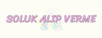 SOLUK ALIP VERME