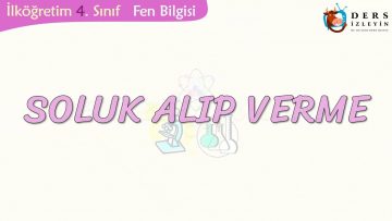 SOLUK ALIP VERME